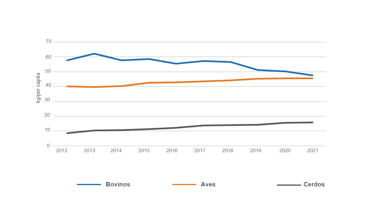 Fuente: MAGyP, 2022.